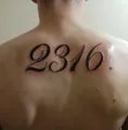 2316
