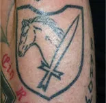 SS Insignia